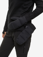 ВАРЕЖКИ ПУХОВЫЕ BASK D-TUBE CHESSMITTS