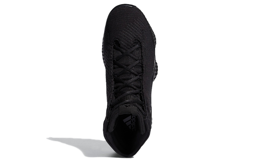 Кроссовки Adidas Pro Bounce 2018