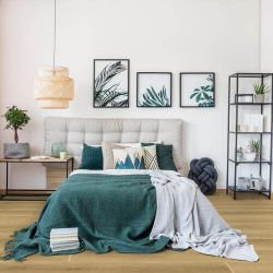 Prestige XL Honor, 2,51 м²