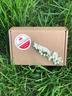 Радость легких