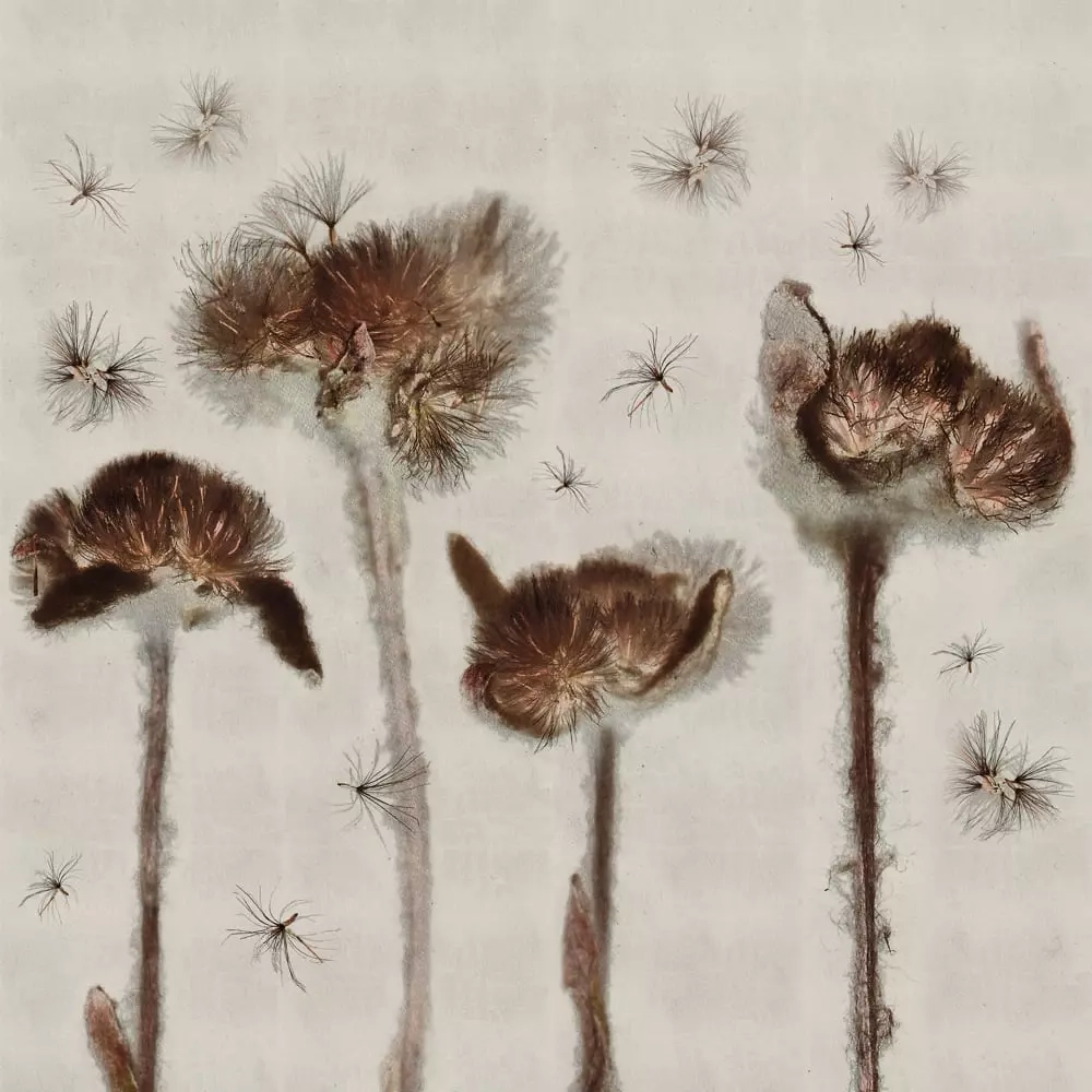 Цифровое панно ID Wall MILD EDELWEISS