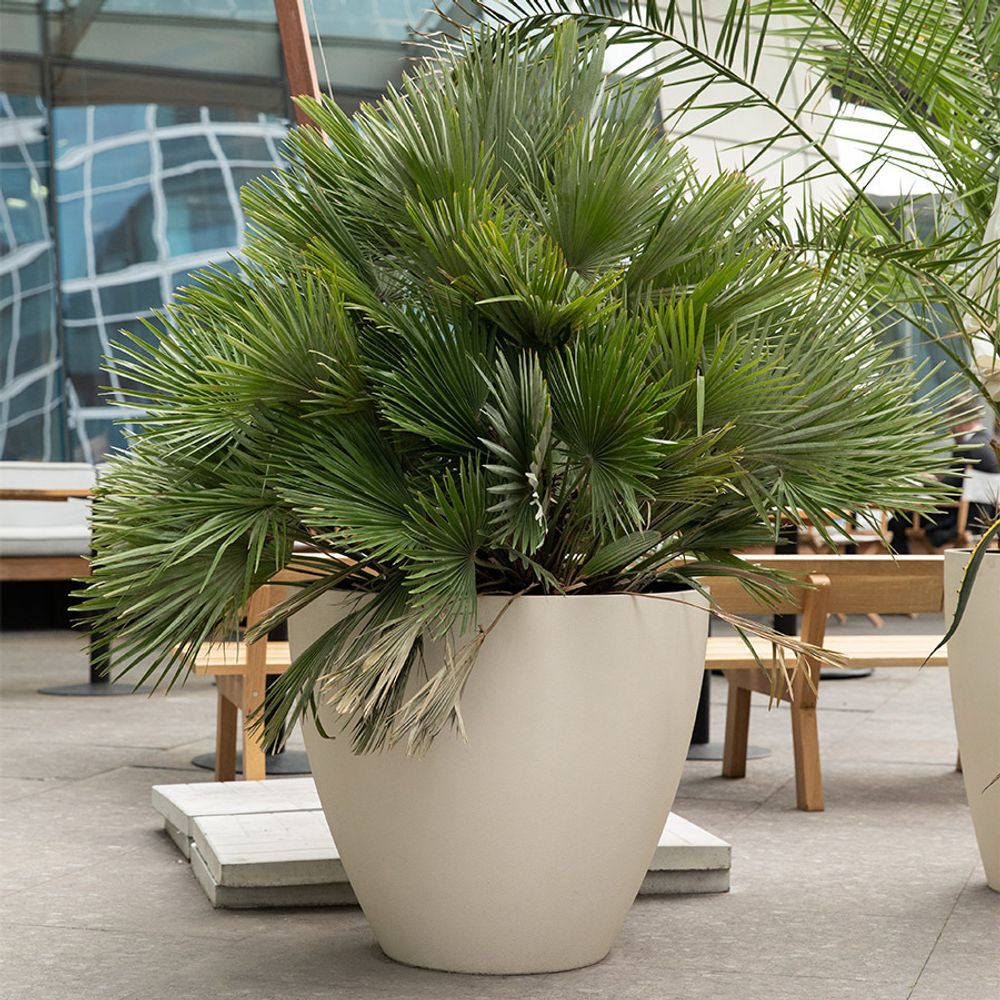 Кашпо UPON SAHARA D45 H35