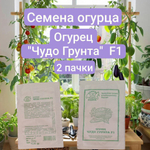 Семена Огурца. Огурец F1 "Чудо Грунта", 0.3 г. (2 упаковки)