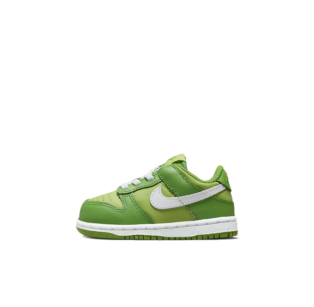 Детские кроссовки Nike Dunk Low 'Chlorophyll' DH9761-301