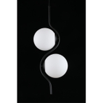 Подвесной светильник Aployt Jagna APL.312.06.02