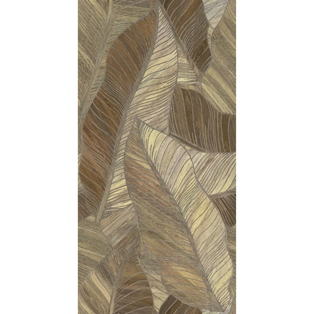 Декор Argenta Studio Litter Decor 60x120