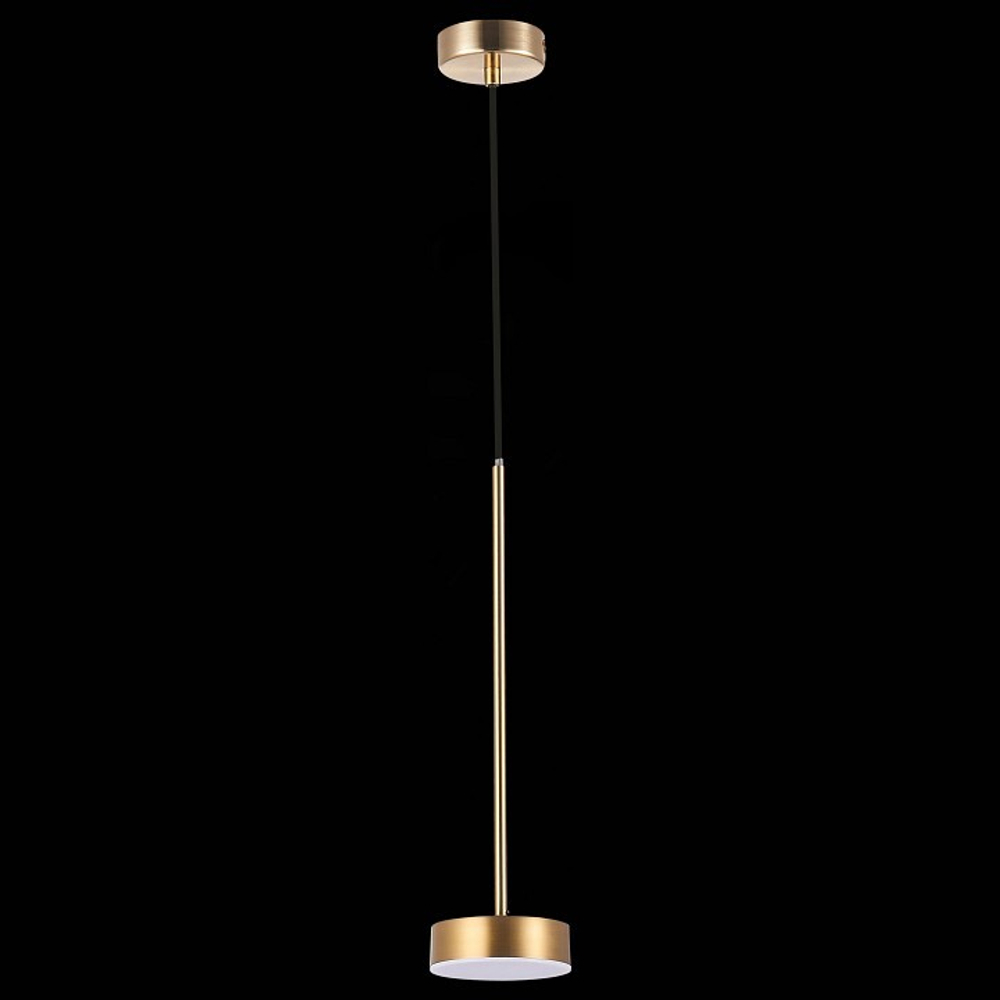 Подвесной светильник ST-Luce SL6000.303.01