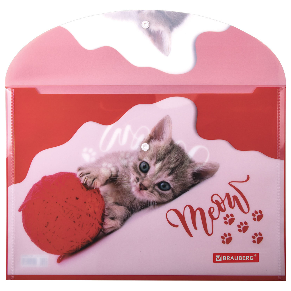 Папка-конверт с кнопкой BRAUBERG "FUNNY CAT" А4 160 мкм цветная печать (12 штук в упаковке)