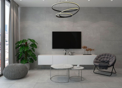 CANCAN SILVER (MUST BY TAU)