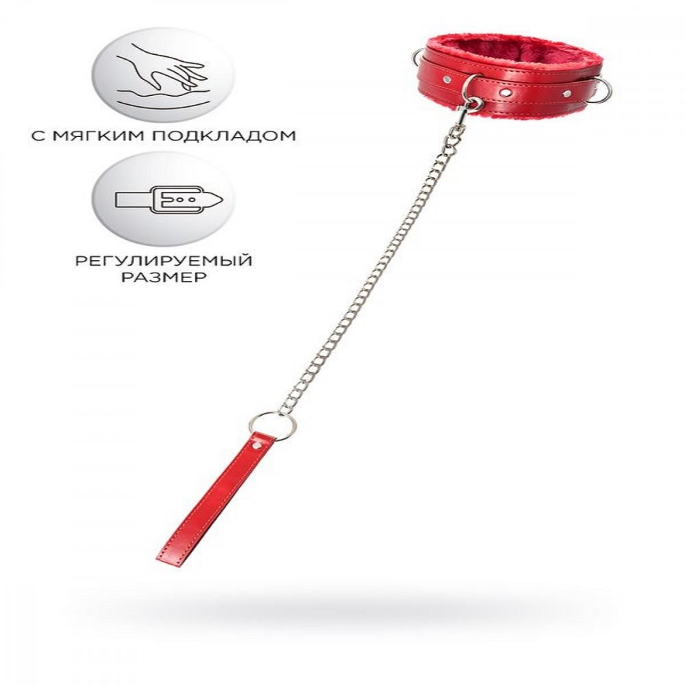 Ошейник Anonymo с поводком красный