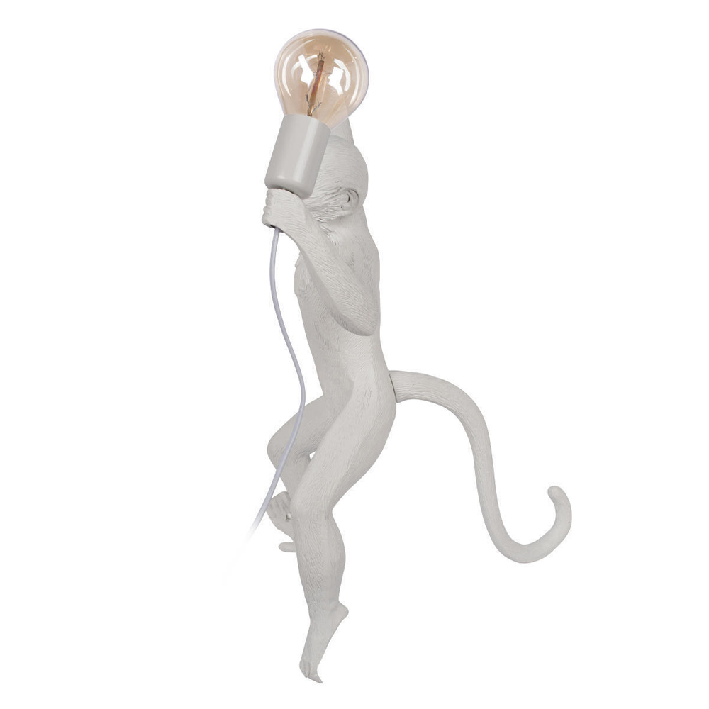 Настенный светильник Loft It Monkey  10314W/B