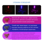 Фито-лампа "Стриж" для выращивания растений (ПОД ЗАКАЗ)