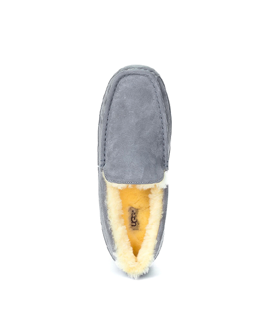 ASCOT MENS grey