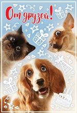 Открытка "От друзей" 12*18 см (Сфера)