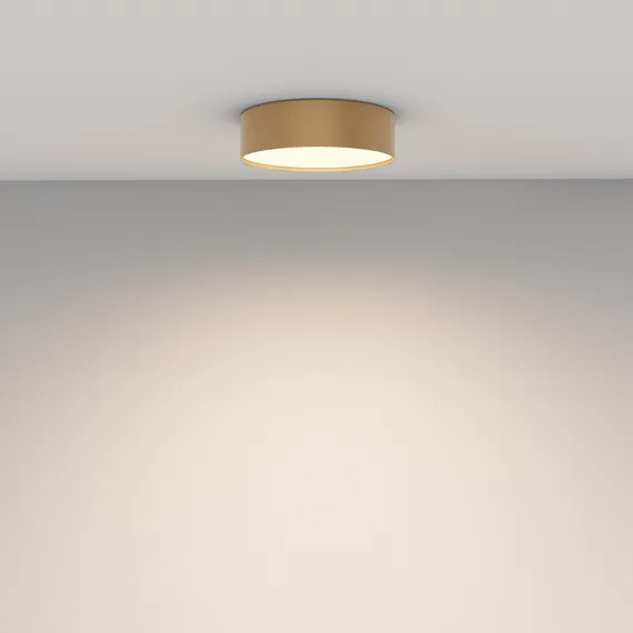 Потолочный светильник Зон / Zon 24 Вт 3000 К 120° Technical c032cl-24w3k-rd-mg