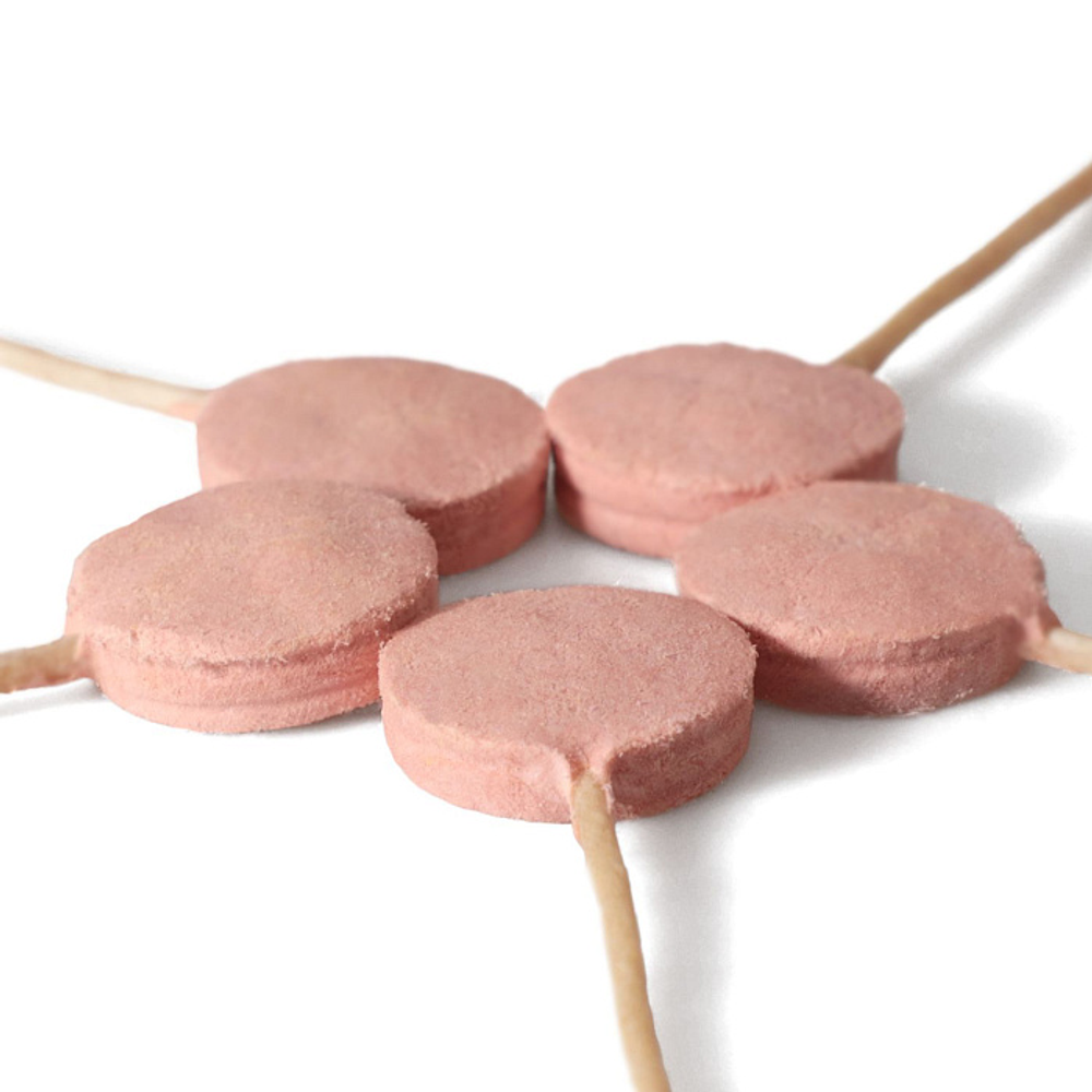 Лакомство Ranova для собак сублимированное на палочке микс вкусов: козье молоко*2; клюква*2; тыква*2, 8 г х 6 шт