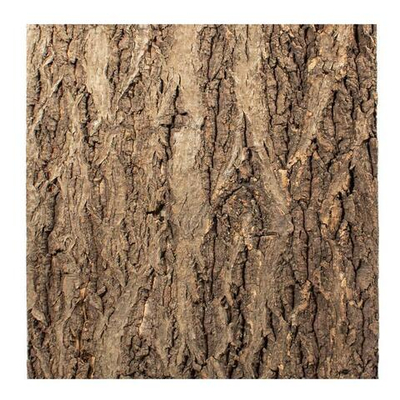 Фон натуральная кора на пробке, 435*410мм, Repti-Zoo