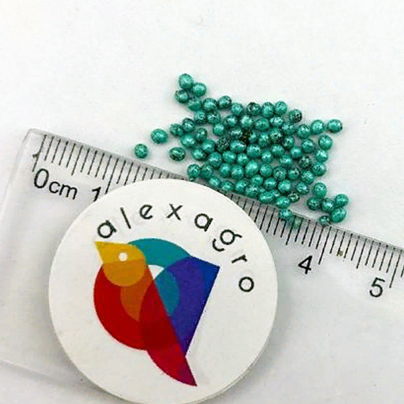 Лагрима F1 семена капусты белокочанной (Rijk Zwaan / ALEXAGRO) семена – фото 10