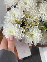 Авторский кулек из хризантемы, ромашки и альстромерии