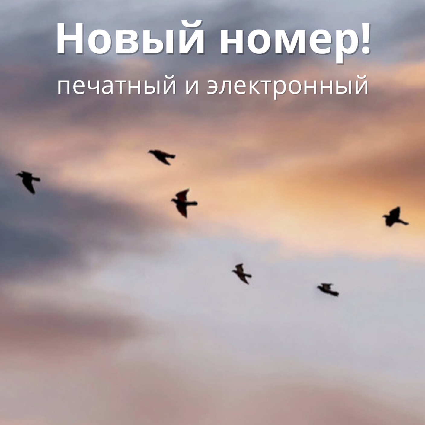 Журнал «Фома» № 11 (247) ноябрь 2023 г.