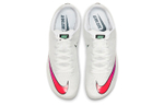 Кроссовки Nike Zoom 400