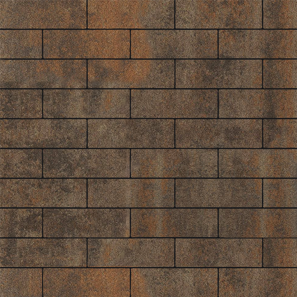 Тротуарная плитка ПРЯМОУГОЛЬНИК 300х100 мм - Листопад гранит Клен