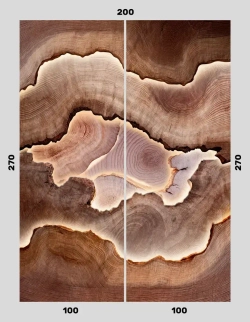 Фотообои 200х270 см винил на флизелине под дерево с подсветкой