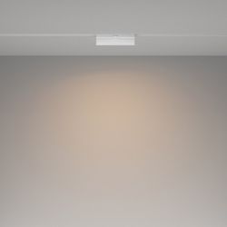 Накладной светильник Maytoni Basis Rot TR036-4-12W3K-DS-W