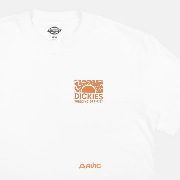 Футболка мужская Dickies Saltville Tee артикул:DK0A4YR9WHX1 - купить в магазине Дайс