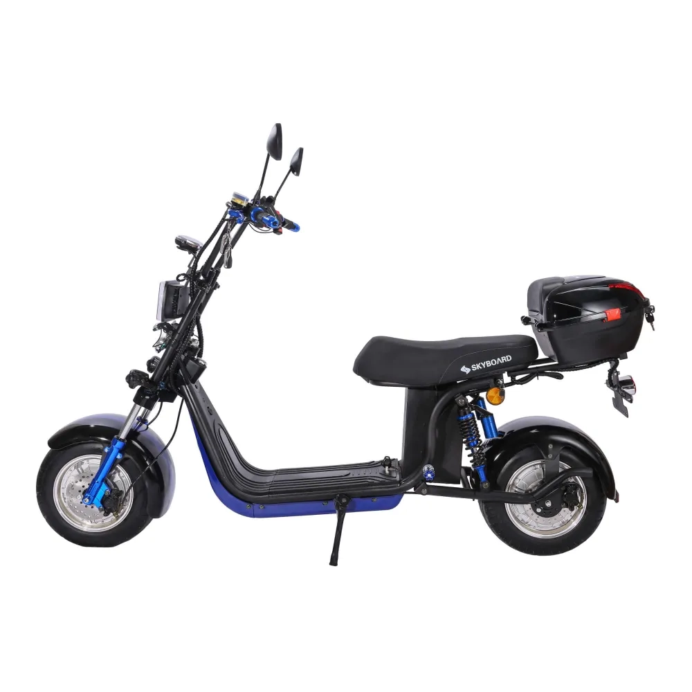 Электроскутер CityCoco Skyboard BR30-2WD (Ural) черный