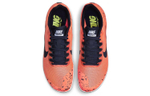 Кроссовки Nike Zoom Rival D 10