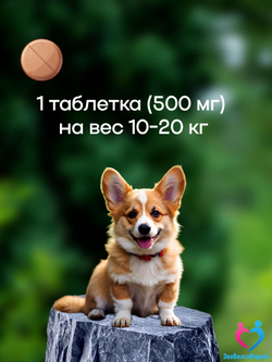 Рабектра 500 мг жевательная таблетка против блох и клещей для собак весом 10-20 кг, 1 таблетка