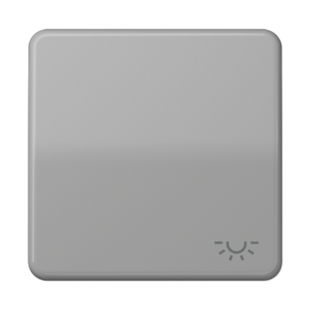 JUNG CD 500/CD plus Серая Клавиша 1-ая с символом ОСВЕЩЕНИЕ, арт.CD590LGR