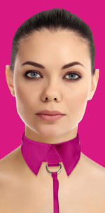 Розовый кожаный воротник с поводком Pink OUCH! (Цвет: розовый)
