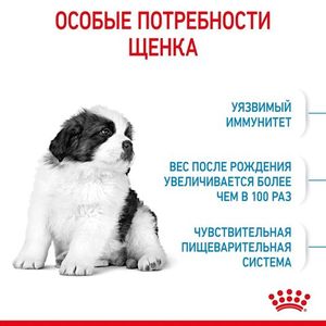 Корм для щенков очень крупных пород, Royal Canin Giant Puppy