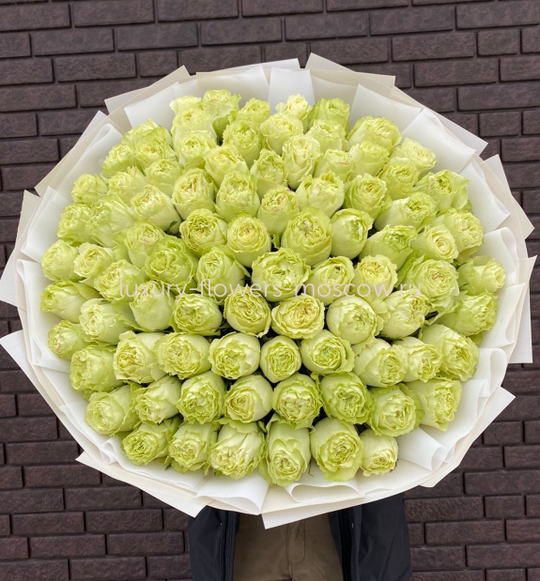 75 роз сорта лимонад Эквадор