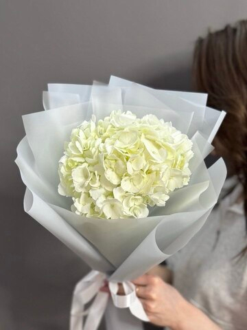 Белая гортензия в оформлении