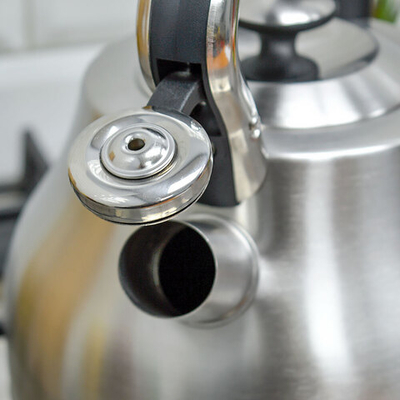 Чайник 3л нерж со свистком, индукция, Z-4499