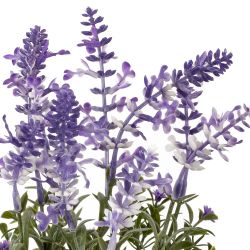 GAEM Цветочная композиция "Лаванда", L16 W15 H22 см