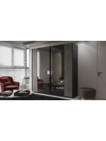 Шкаф-купе WAYSON Pulse 21, 120х50х210