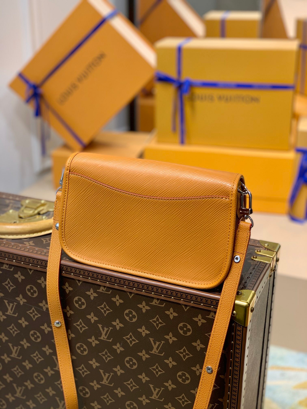 Louis Vuitton Buci Bag