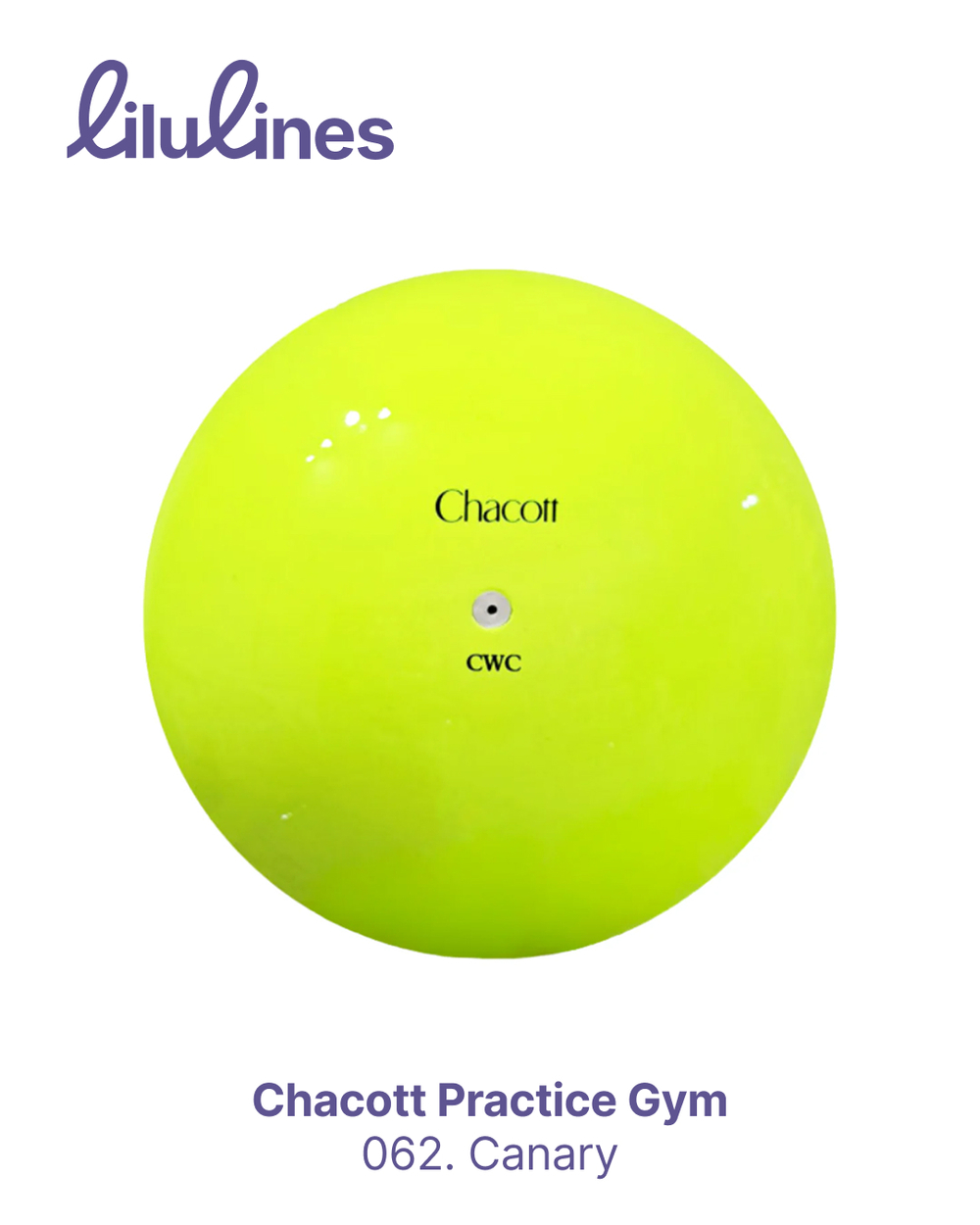 Мяч PRACTICE GYM BALL CHACOTT
