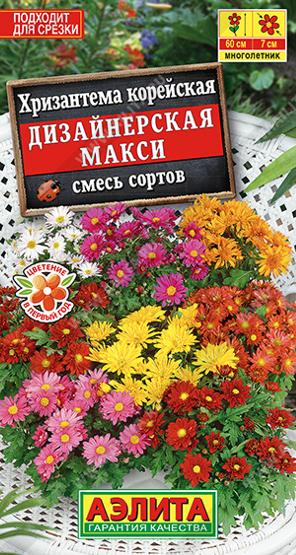 Хризантема Дизайнерская макси, смесь сортов