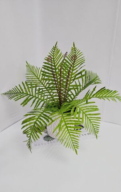 Папоротник раскидистый / Арт 6352