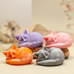 Котенок спящий