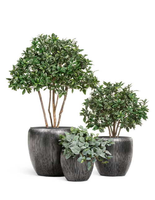 Кашпо TREEZ Effectory Wow Конус-Чаша Стальное серебро с рельефом в-28 см, д-30 см 41.3320-06-044-DSL-30