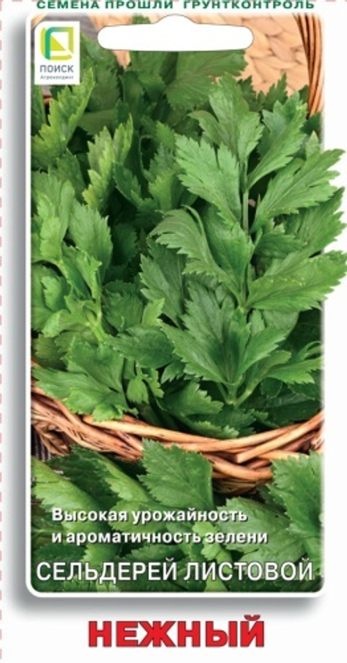 Сельдерей листовой Нежный 0,5гр Поиск
