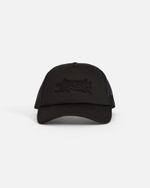 Кепка Anteater Trucker-Black