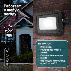 Прожектор светодиодный уличный ЭРА PRO LPR-061-0-65K-020 20Вт 6500К 1900Лм IP65