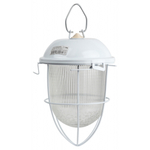 Светильник ЭРА НСП 41-200-003 с решеткой Желудь сталь стекло IP54 E27 max 200Вт 172х306х315 белый